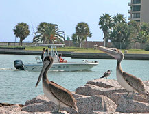 Port Aransas, Texas